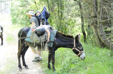 Wanderung mit einem Esel