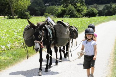 Wanderung mit einem Esel