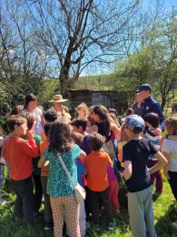 La Ferme des Zazous