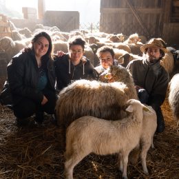 La Ferme des Zazous