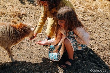 Ferme découverte Les Jardins de Martine