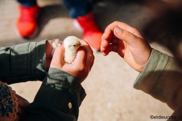 Ferme découverte Les Jardins de Martine