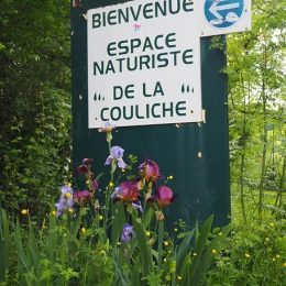 Camping Club Naturiste En Albigeois