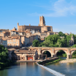 Balade dans le centre historique d’Albi