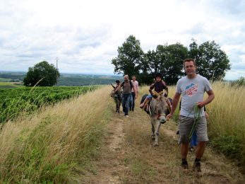 Ânes en Grésigne – Promenade avec un âne