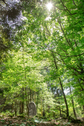 Statue-menhir de Triby
