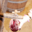 Soirée vin nouveau et châtaignes d’automne dans le chai des Garbasses
