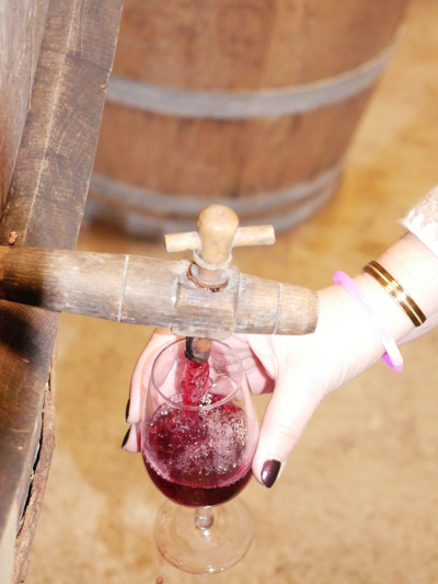Soirée vin nouveau et châtaignes d’automne dans le chai des Garbasses