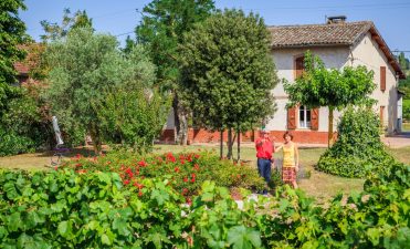 Domaine de Borie Vieille