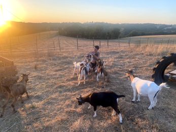 „Les chèvres de Shipinours“ – Visite à la ferme