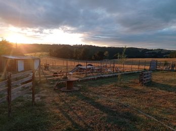 „Les chèvres de Shipinours“ – Visite à la ferme