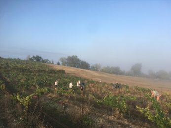 Clos Rocailleux