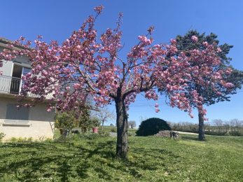 Petit paradis au Pays des Bastides !