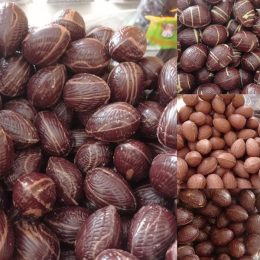 L‘ Aztèque : Chocolaterie, salon de thé et glacier