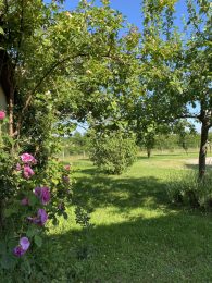 La Vinatière