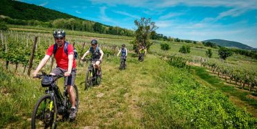 Les vélos de Léonce