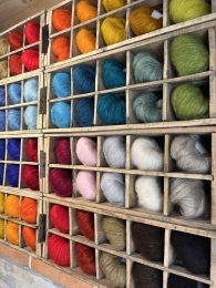 Visite d’un élevage de chèvres Mohair