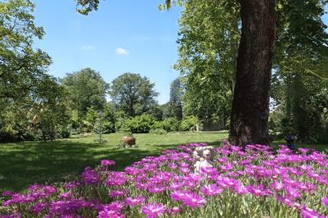 Domaine de Rasigous