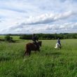 Centre équestre „Un Poney une Histoire“