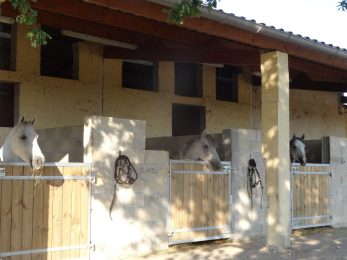 Centre équestre „Un Poney une Histoire“