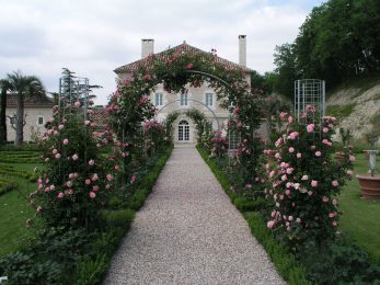 Château Lecusse