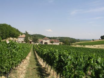 Château Lecusse