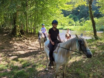 La Ferme des Grandes Oreilles