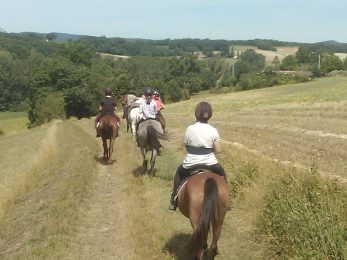Les Écuries de la Burgue