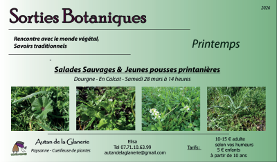 Sortie Botanique : Printemps & Salades Sauvages