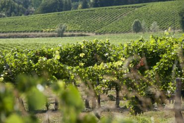 Domaine Sanbatan