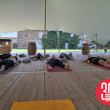 Yoga & Vin à la Maison des vins de Gaillac