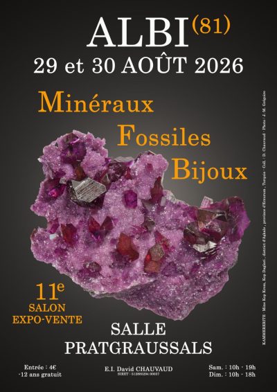 11ème Salon Minéraux fossiles bijoux d’Albi