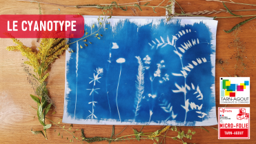 Atelier créatif à la Micro-Folie Tarn-Agout : le cyanotype