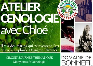 Circuit journée vignes, saveurs & mobylettes avec atelier Oenologie (Le jeudi uniquement)