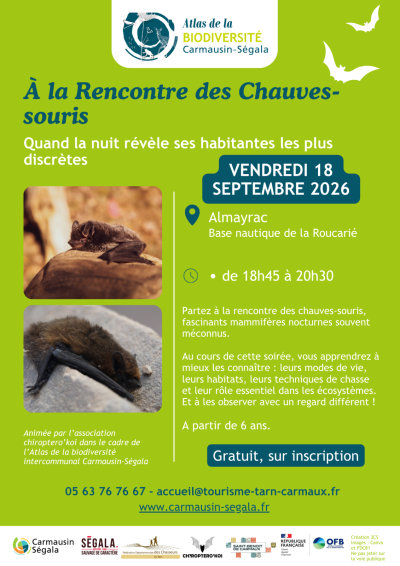 A la rencontre des Chauves-souris