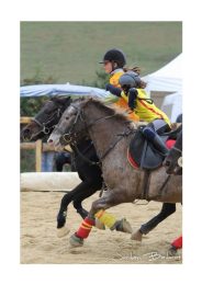 Les Cavaliers du Pays Cathare