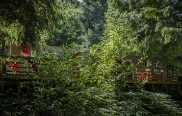 Camping Lestap