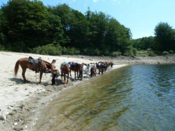 Centre équestre Les Chevaux Du Soleil
