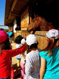 Ferme découverte les jardins de Martine