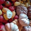 Le Potager de Fontjalabert