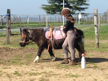 Centre Équestre Au Galop