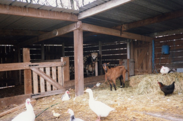Un Jour une ferme