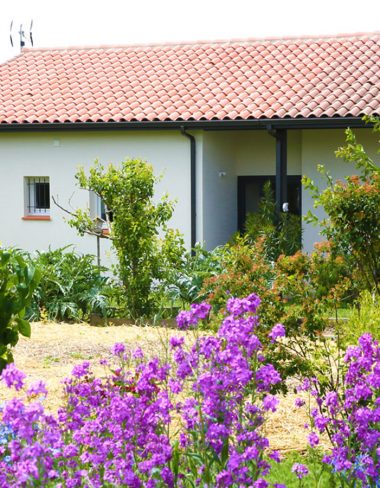 Alquileres y casas