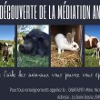 L’association d’Arche