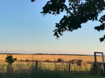 Les pieds dans l’herbe