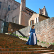 Promenade avec Mme de Lapérouse, Albi au siècle des lumières