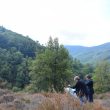 Sendero de los Labans
