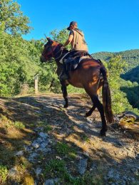 La Ferme des Grandes Oreilles