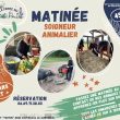 Une matinée en tant que soigneur animalier