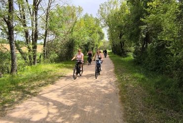 Location de vélos électriques